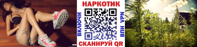 Галлюциногенные грибы Дальнегорск
