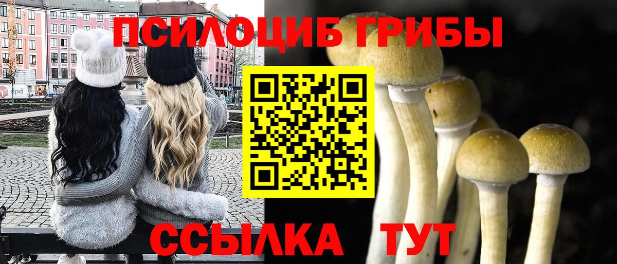 Галлюциногенные грибы Cubensis Дальнегорск