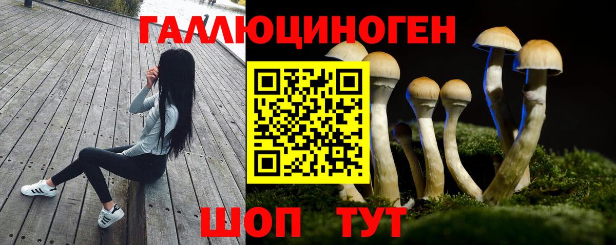 Псилоцибиновые грибы мухоморы  Дальнегорск 