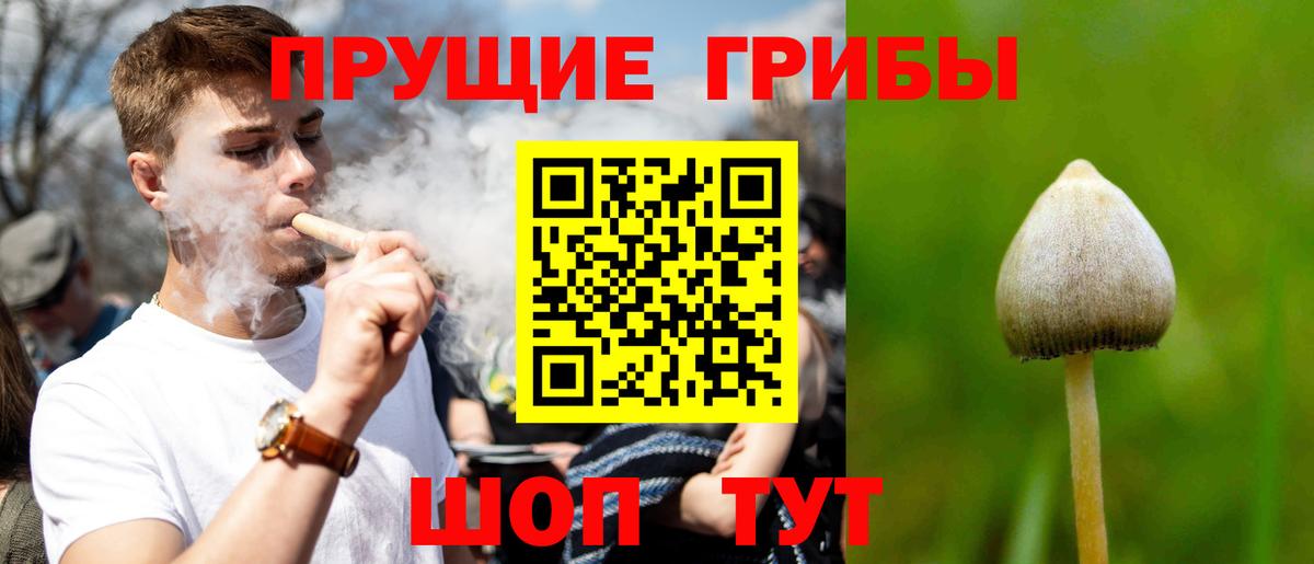 Галлюциногенные грибы мухоморы  Вход с VPN  Дальнегорск  Псилоцибиновые грибы ЛСД 