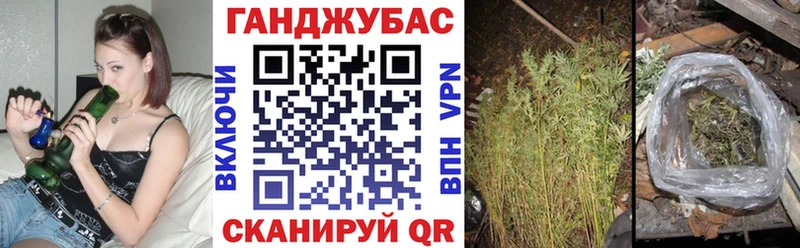 Конопля планчик Дальнегорск